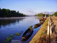 Grande balades possible le long de la Loire
