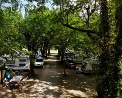 Emplacements pour tente? Camping-car et caravane, ainsi que des mobil homes spacieux et confortables de différentes capacités et confort. 