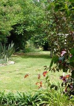 vue du jardin à partir de la terrasse. Les fruits de notre jardin sont à votre disposition.