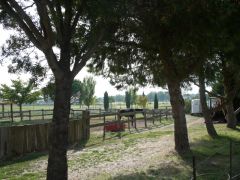 les abords du Mas : prairies et paddocks pour nos chevaux