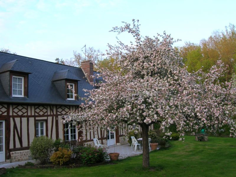 la terrasse et son pommier en fleurs, côté jardin