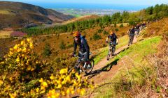 Hendaye et le Pays basque: point de départ idéal pour les randonnées à vélo et à pied.