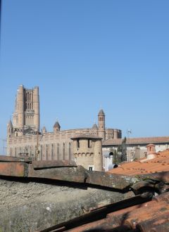les toits du vieil Albi et la cathédrale Sainte Cécile