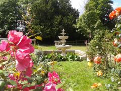 La fontaine et son allée de roses.